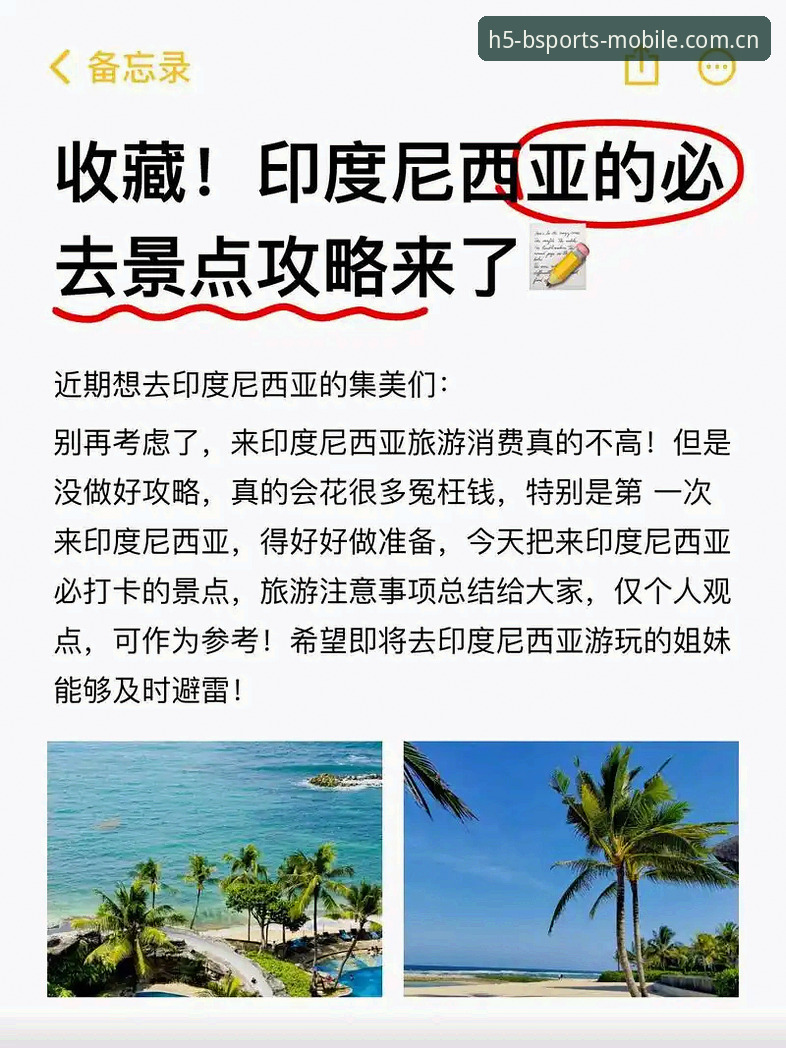 2024B体育app安卓版攻略 2024B体育app安卓版深度评测:从安装到日常使用,这份攻略给你答案