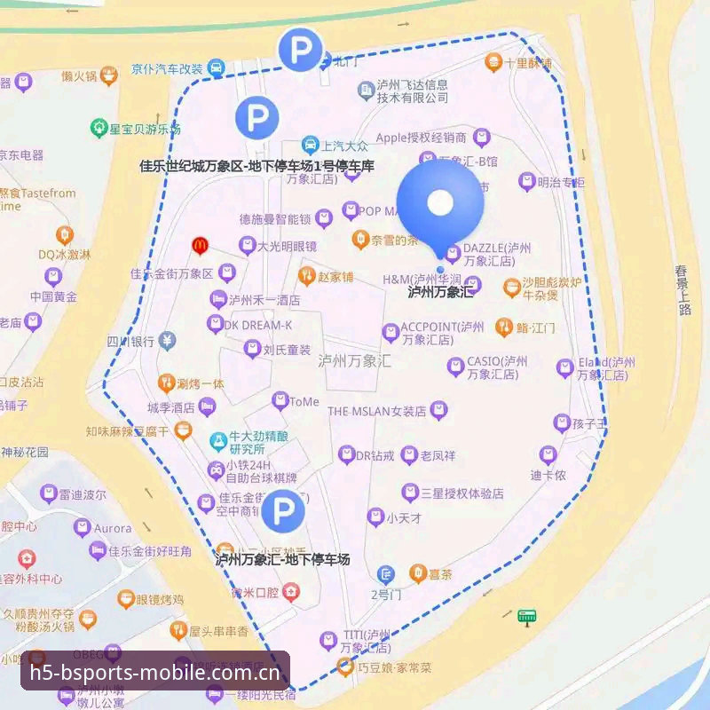 2024B体育app安卓版攻略 2024B体育app安卓版深度评测:从安装到日常使用,这份攻略给你答案